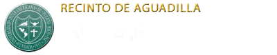 Inter Aguadilla